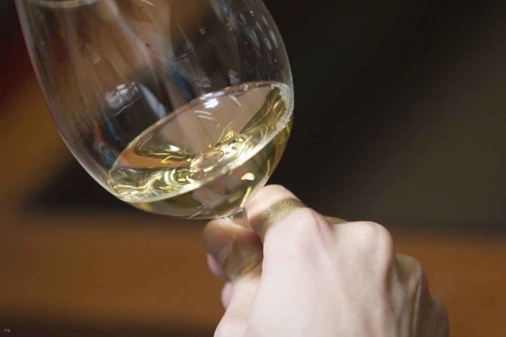 cata vino blanco