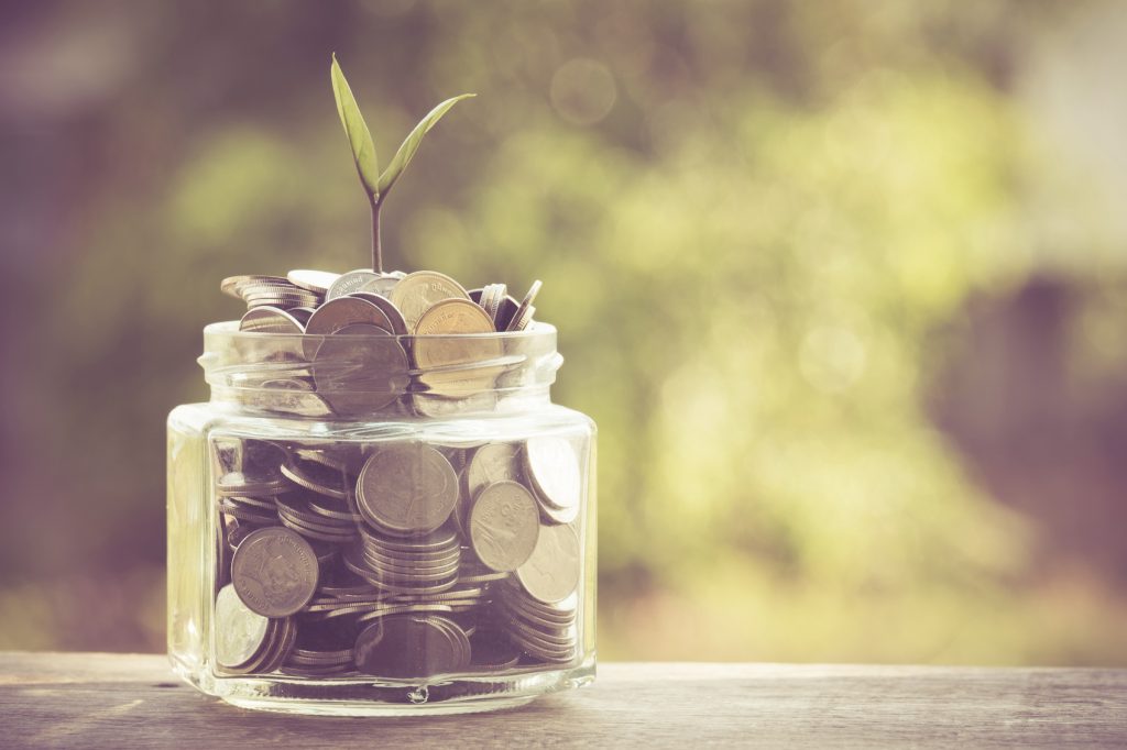 plant growing out of coins